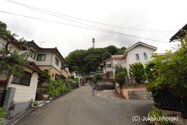 安芸 陣丸城×の写真