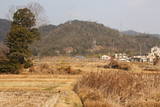 安芸 城仏土居屋敷の写真