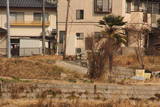 安芸 城仏土居屋敷の写真