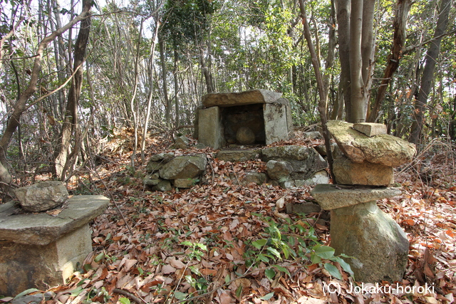 安芸 八幡山城の写真