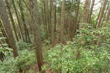 安芸 茶臼山城(加計町)の写真