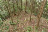 安芸 茶臼山城(加計町)の写真