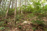 安芸 茶臼山城(加計町)の写真