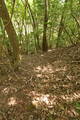 安芸 茶臼山城(加計町)の写真