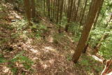 安芸 茶臼山城(加計町)の写真