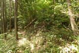 安芸 茶臼山城(加計町)の写真