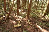 安芸 桜尾城(加計町)の写真