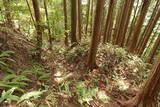 安芸 桜尾城(加計町)の写真