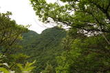 安芸 掛山城の写真