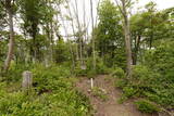 安芸 掛山城の写真