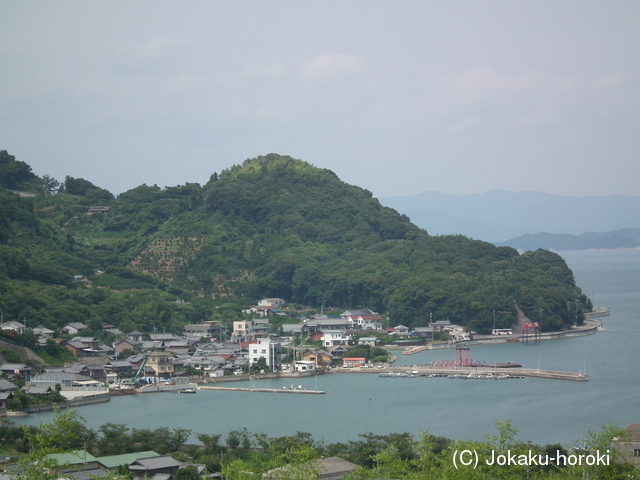 安芸 八幡山城の写真