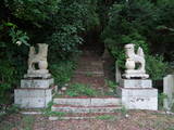 安芸 八幡山城の写真