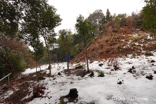 安芸 山根城(五日市町)の写真