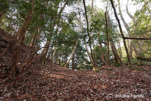 安芸 (仮)上古屋城の写真