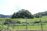 安芸 堀城(上戸野)の写真