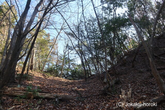 安芸 観音寺山城の写真