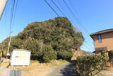 安芸 観音寺山城の写真