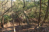 安芸 観音寺山城の写真