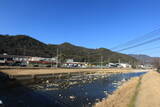 安芸 観音寺山城の写真