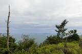 安芸 鹿老渡 遠見山番所の写真