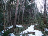 安芸 笠天山城の写真