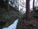 安芸 笠天山城の写真