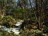 安芸 笠天山城の写真