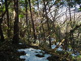 安芸 笠天山城の写真