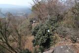安芸 頭崎城の写真