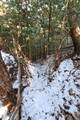 安芸 尾首城(可部町)の写真