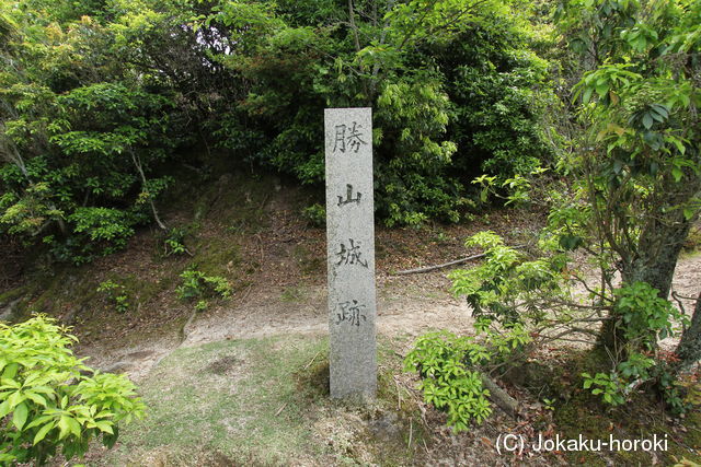 安芸 勝山城(宮島町)の写真