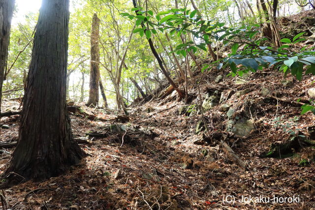 安芸 木の宗山城の写真