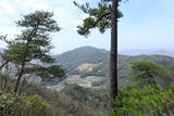 安芸 木の宗山城の写真