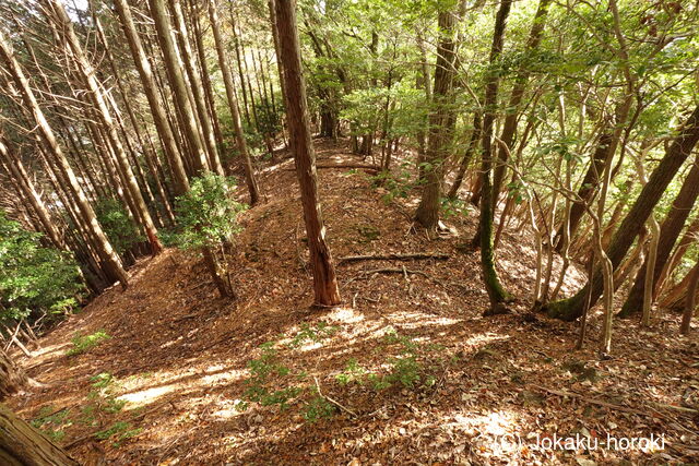 安芸 (仮)木の宗山北城(下の城)の写真