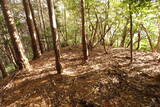 安芸 (仮)木の宗山北城(下の城)の写真