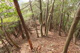 安芸 (仮)木の宗山北城(下の城)の写真