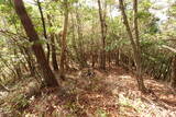 安芸 (仮)木の宗山北城(下の城)の写真