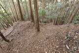 安芸 (仮)木の宗山北城(下の城)の写真