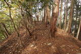 安芸 (仮)木の宗山北城(下の城)の写真