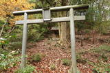 安芸 (仮)木の宗山北城(下の城)の写真