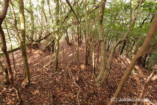 安芸 (仮)木の宗山北城(上の城)の写真
