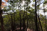 安芸 (仮)木の宗山北城(上の城)の写真