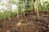 安芸 桜尾城(美土里町)の写真