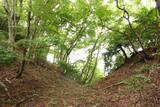 安芸 桜尾城(美土里町)の写真