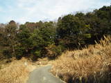 安芸 北田城の写真