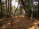 安芸 北田城の写真