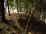 安芸 北田城の写真