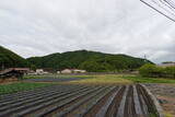 安芸 新城山城(河内町)の写真