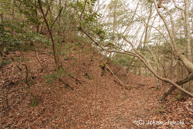 安芸 勝山城(甲田町)の写真