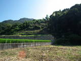 安芸 丸子山城(倉橋町)の写真